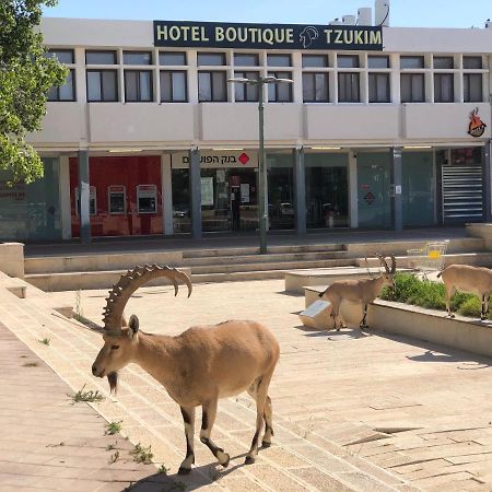 Tzukim Desert Traveler'S Hotel - מלון צוקים Міцпе-Рамон Екстер'єр фото
